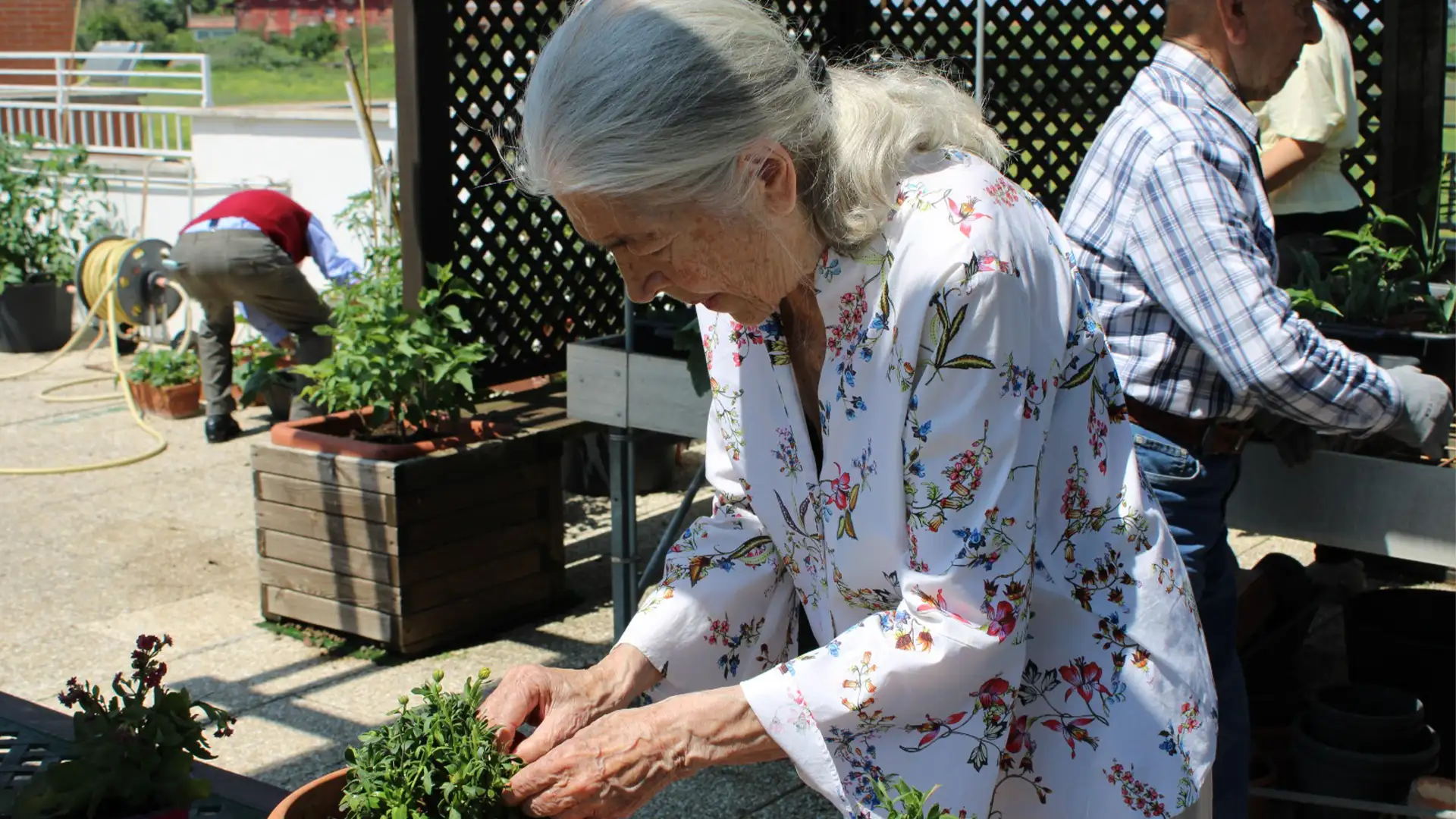 L’Orto di Alberto. Natura, ortoterapia e nuove esperienze al Centro Diurno Alzheimer
